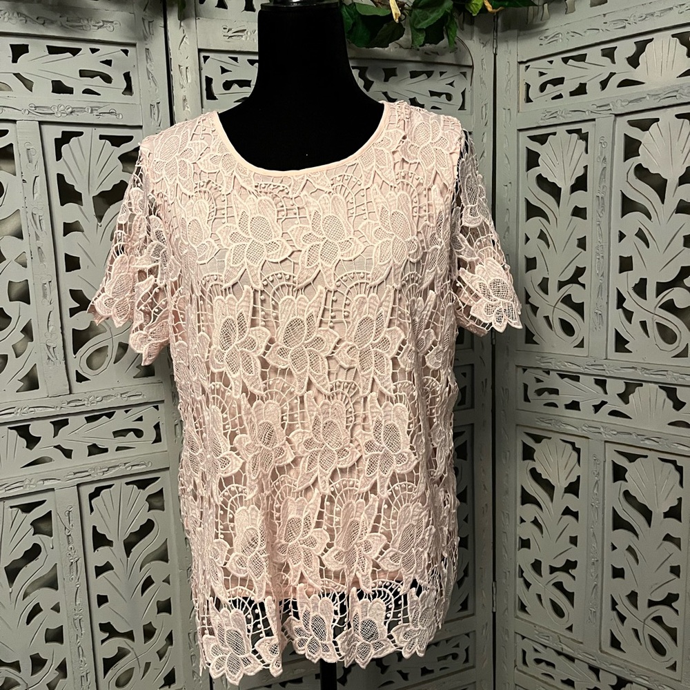 PHILOSOPHY POSH PALE PINK FLOWER LACE & EMBROIDERY WITH LINING SHORT SLEEVE TOP